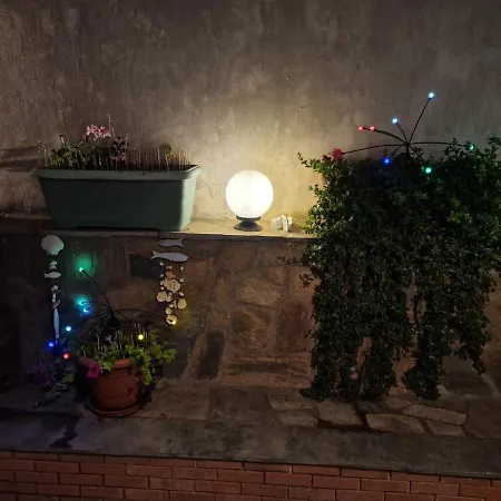 Apartment Garden